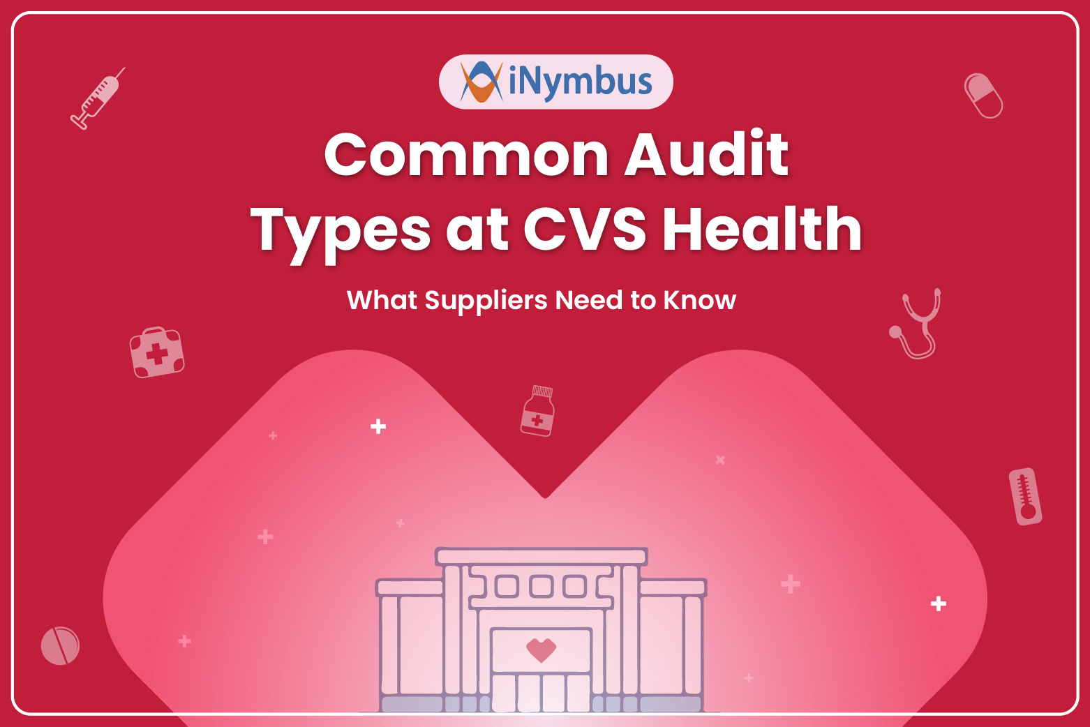 Common Audit Types at CVS